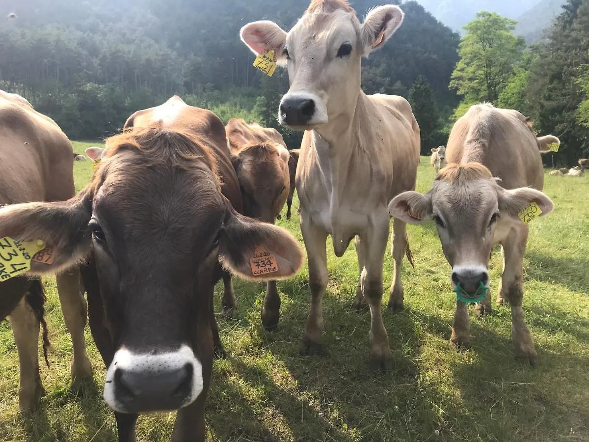 Dimora Natura-Riserva Naturale Valle Di Bondo Tremosine Agroturismo